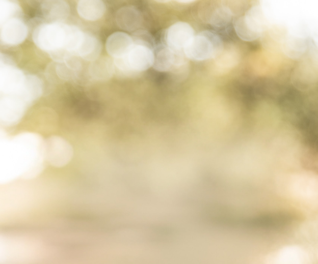 Background--1.png