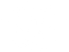 CA White Logo.png